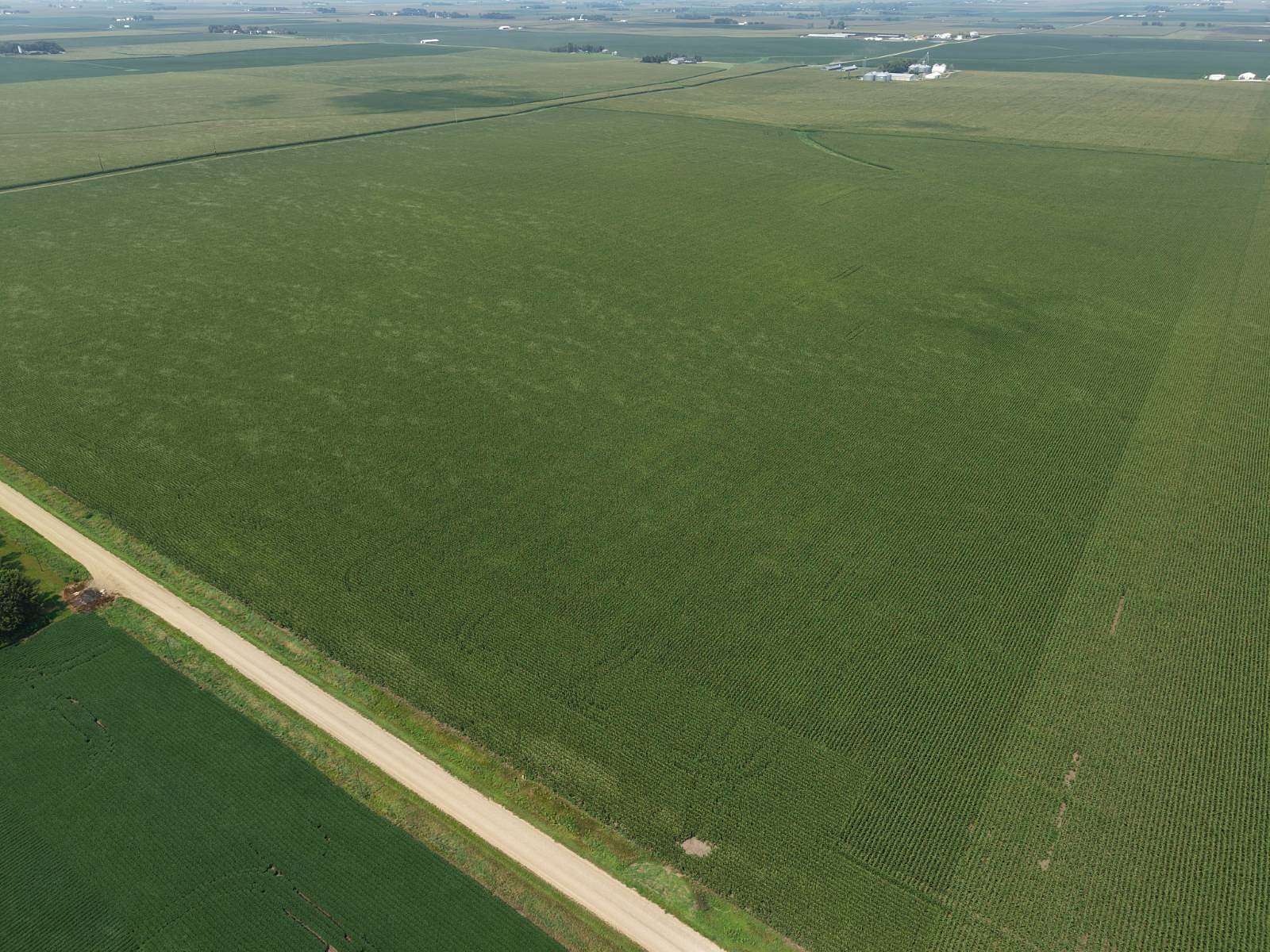 146 Acres of Agricultural Land for Auction in Boyden, Iowa