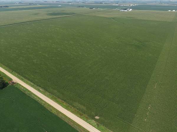 146 Acres of Agricultural Land for Auction in Boyden, Iowa