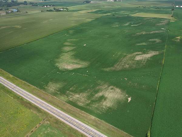 80 Acres of Agricultural Land for Auction in Rock Rapids, Iowa