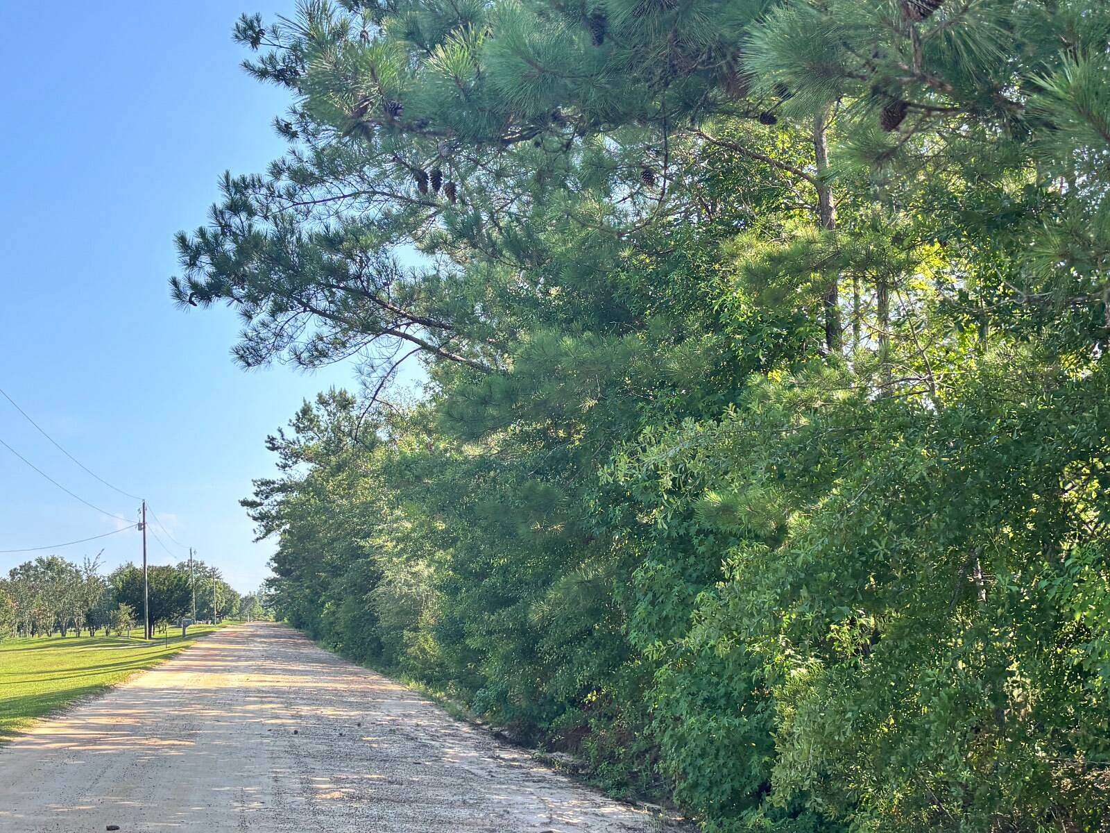 22.3 Acres of Land for Auction in Bonifay, Florida