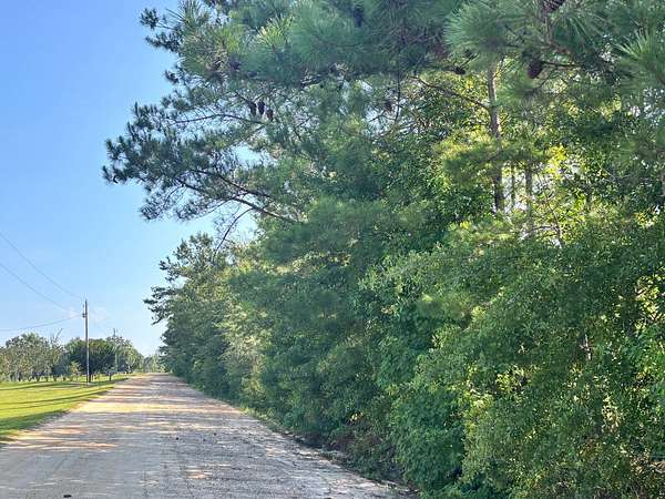 22.3 Acres of Land for Auction in Bonifay, Florida