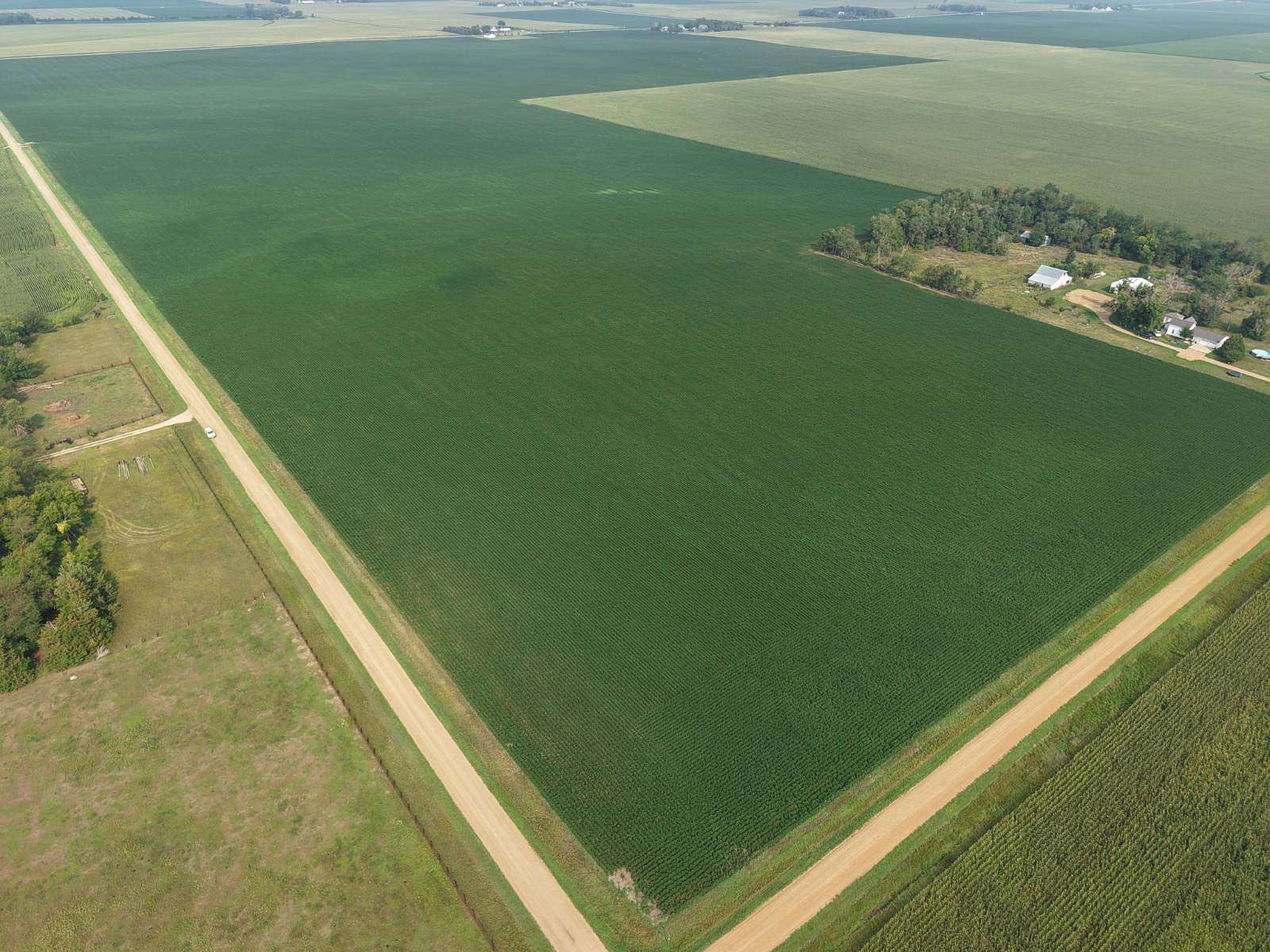 75 Acres of Agricultural Land for Auction in Canton, South Dakota