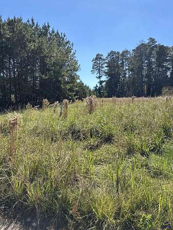 1 Acre of Land for Sale in Gray, Georgia