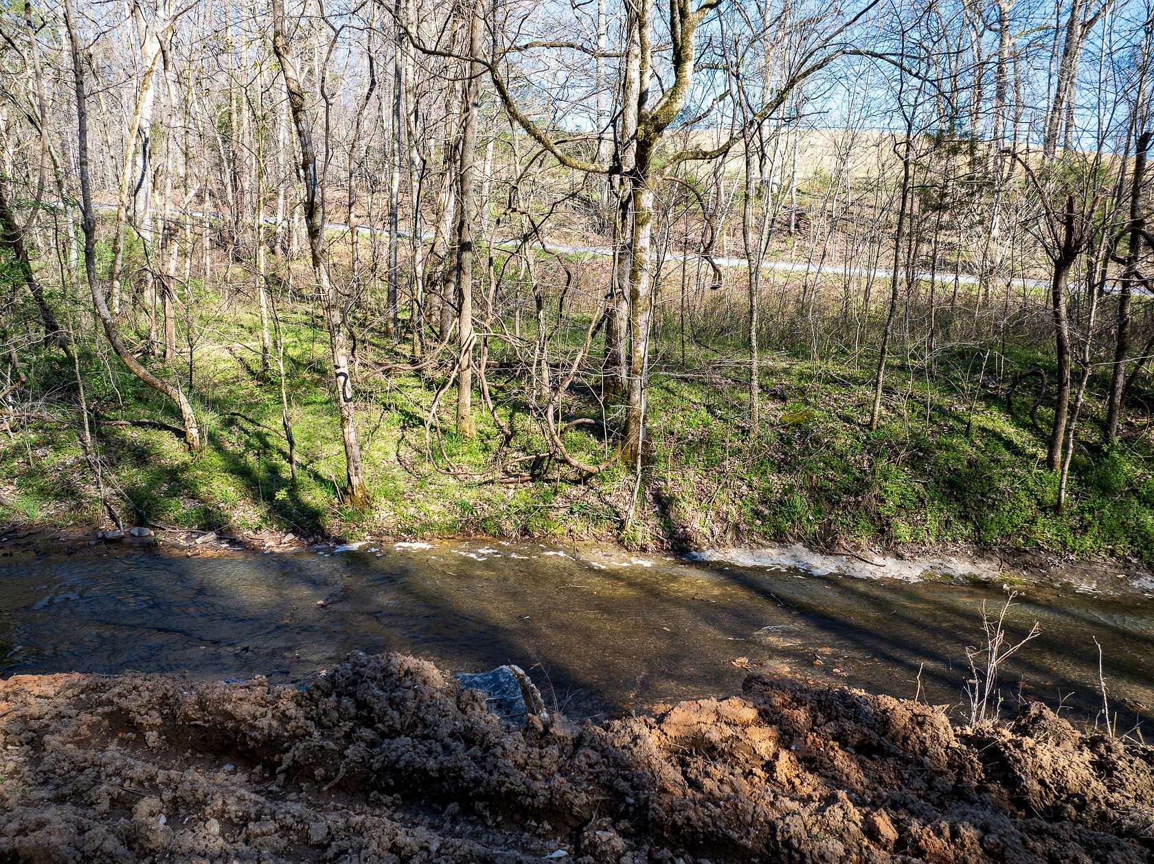 12.7 Acres of Land for Sale in Primm Springs, Tennessee