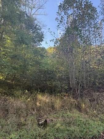 28 Acres of Land for Sale in Campton, Kentucky