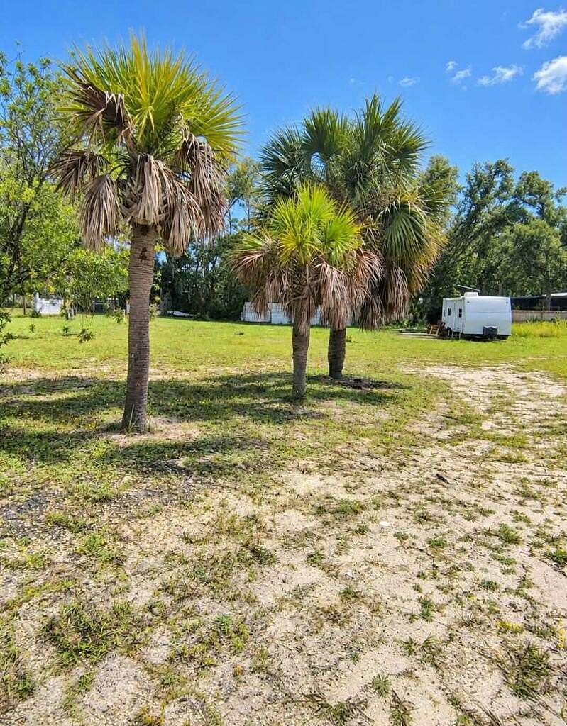 0.5 Acres of Residential Land for Sale in Steinhatchee, Florida