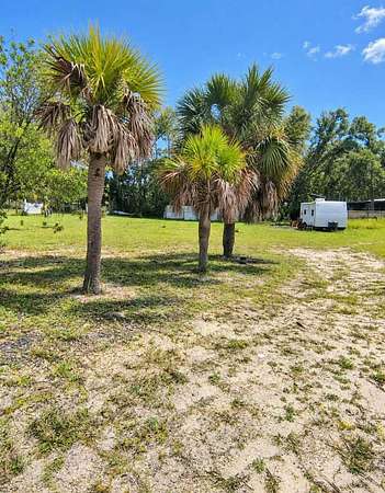 0.5 Acres of Residential Land for Sale in Steinhatchee, Florida