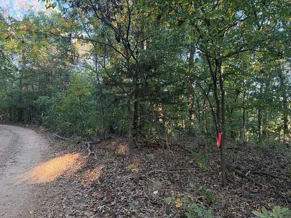 130 Acres of Recreational Land for Sale in Washburn, Missouri