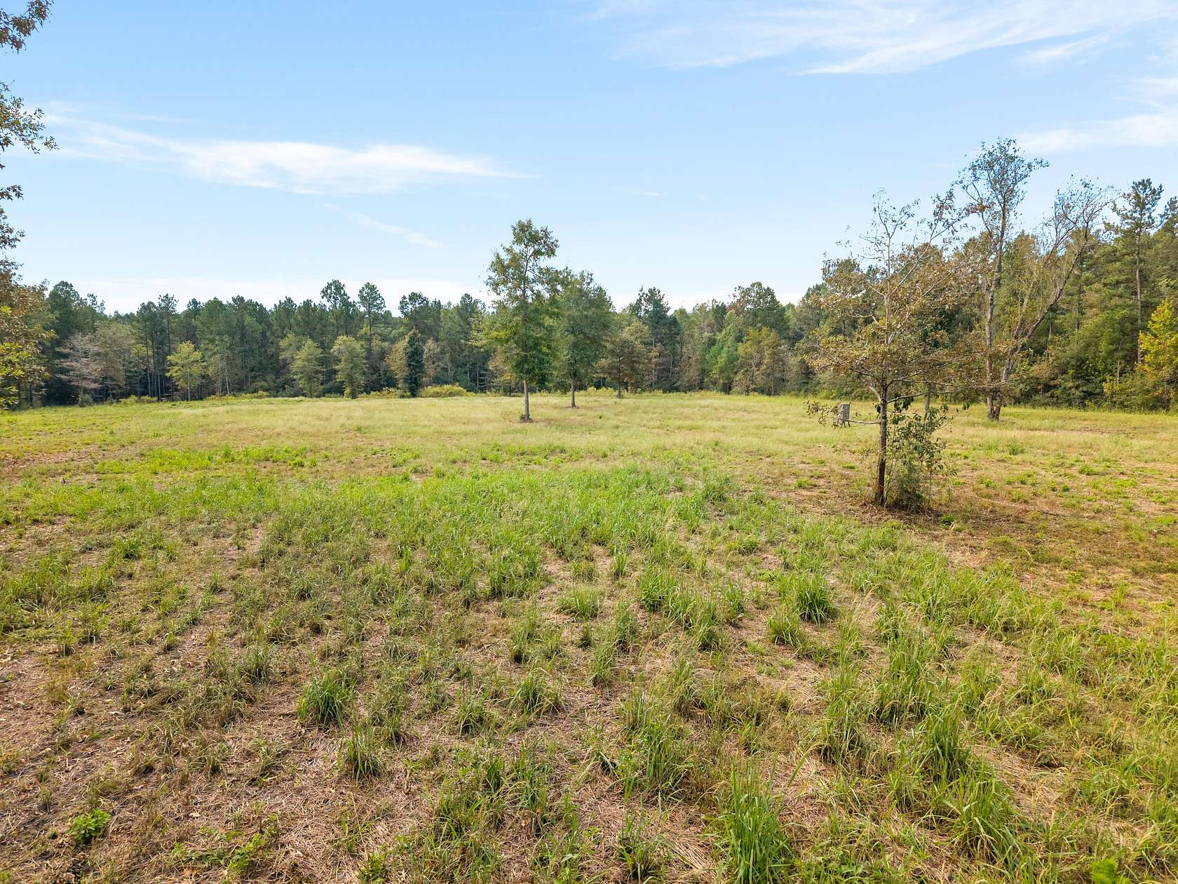 30 Acres of Recreational & Residential Land for Sale in Hattiesburg, Mississippi