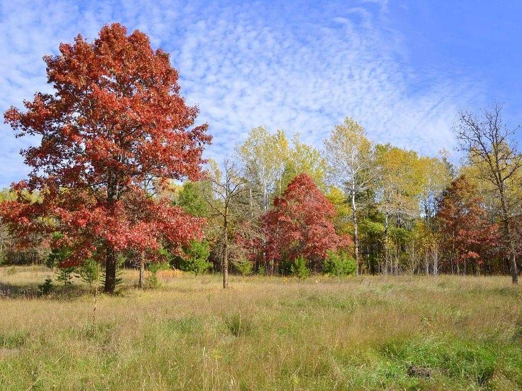 29 Acres of Recreational & Residential Land for Sale in Park Rapids, Minnesota