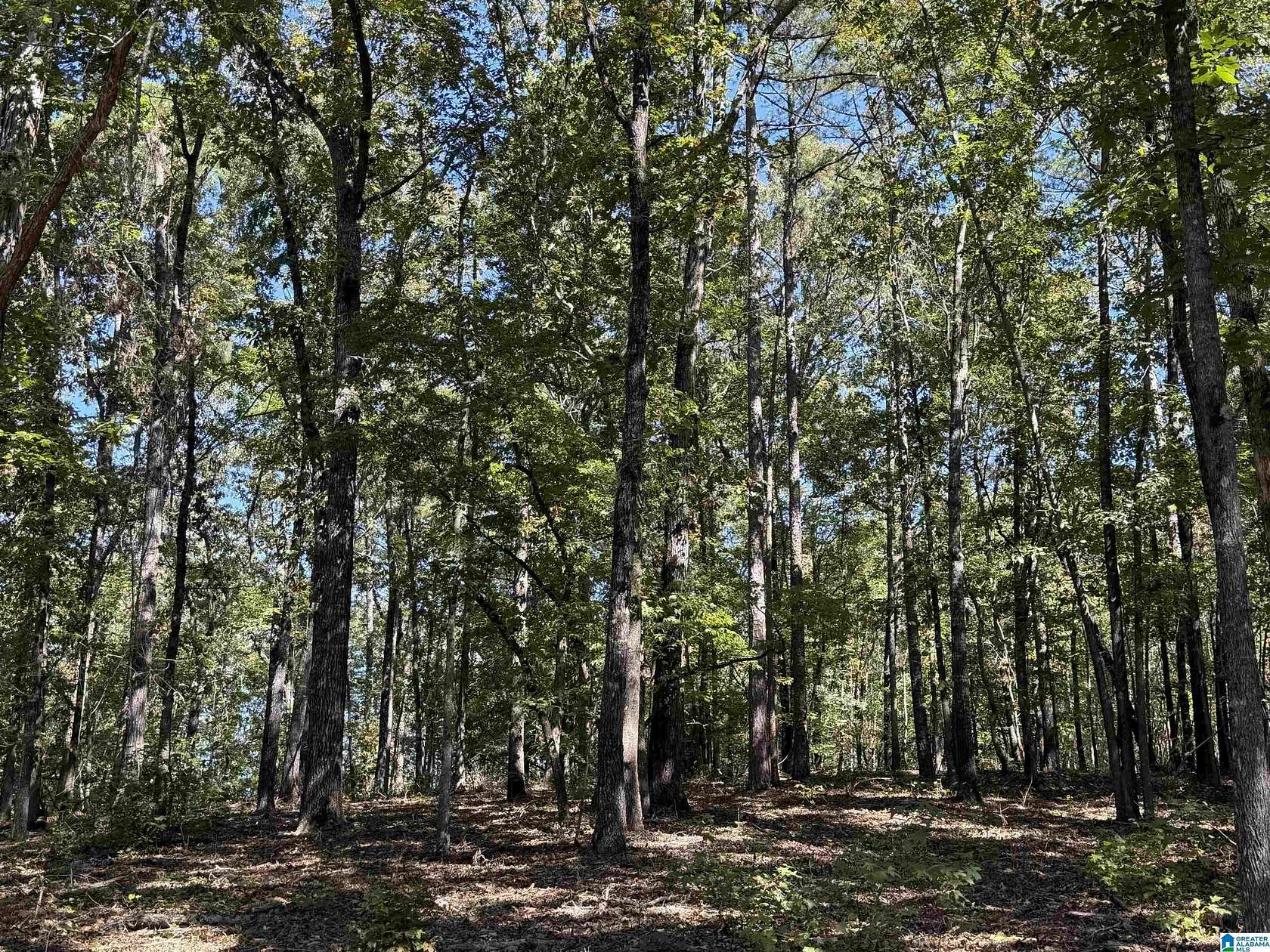 5.5 Acres of Land for Sale in Roanoke, Alabama