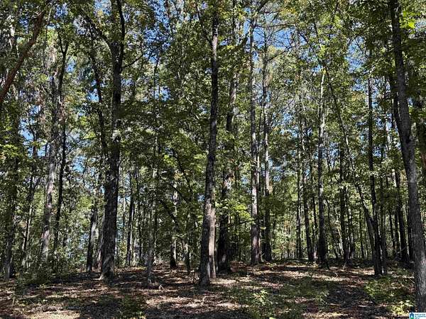 5.5 Acres of Land for Sale in Roanoke, Alabama