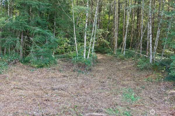 20 Acres of Land for Sale in Camas, Washington