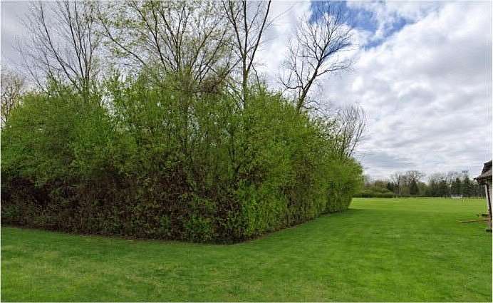 1 Acre of Residential Land for Sale in Saginaw, Michigan
