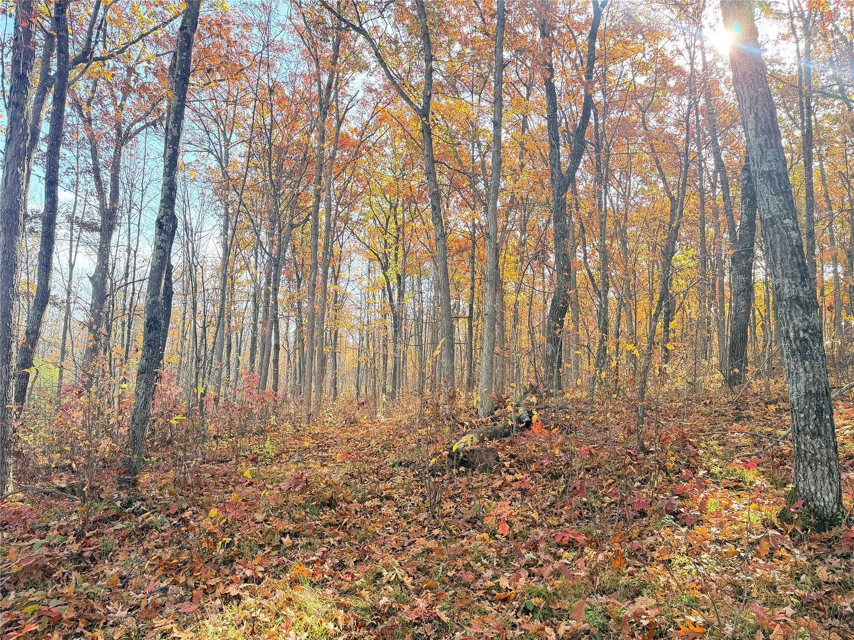 48 Acres of Recreational & Residential Land for Sale in Rice Lake, Wisconsin
