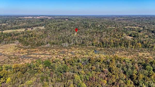 36 Acres of Recreational & Residential Land for Sale in Lavinia, Tennessee