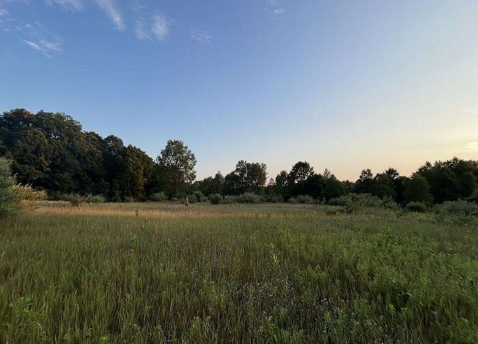 29.5 Acres of Recreational & Residential Land for Sale in Shelby, Michigan