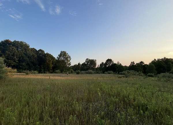 29.5 Acres of Recreational & Residential Land for Sale in Shelby, Michigan