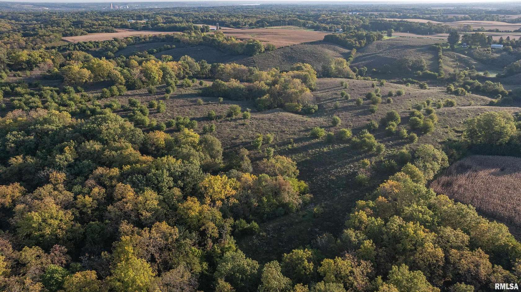 112 Acres of Land for Sale in Taylor Ridge, Illinois