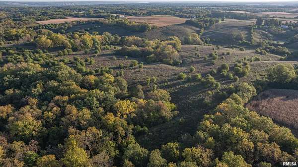 112 Acres of Land for Sale in Taylor Ridge, Illinois