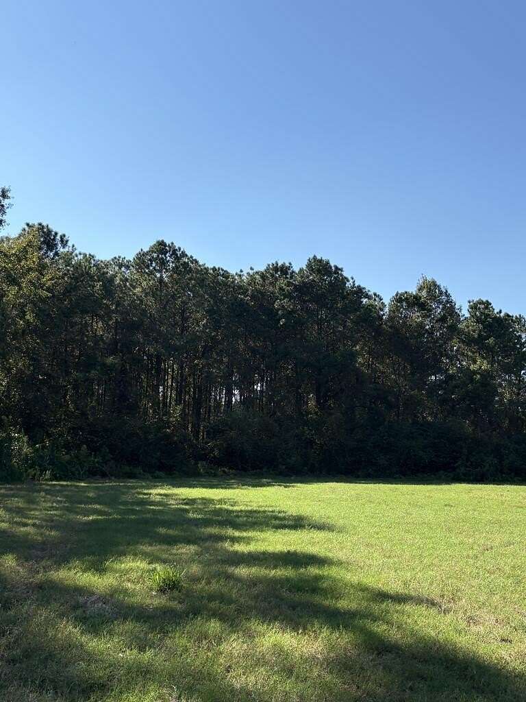 52.6 Acres of Land for Sale in Whigham, Georgia