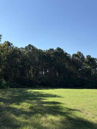 52.6 Acres of Land for Sale in Whigham, Georgia