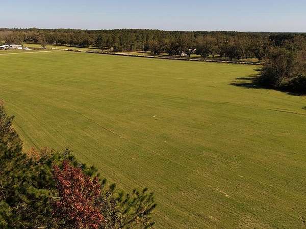52.6 Acres of Land for Sale in Whigham, Georgia