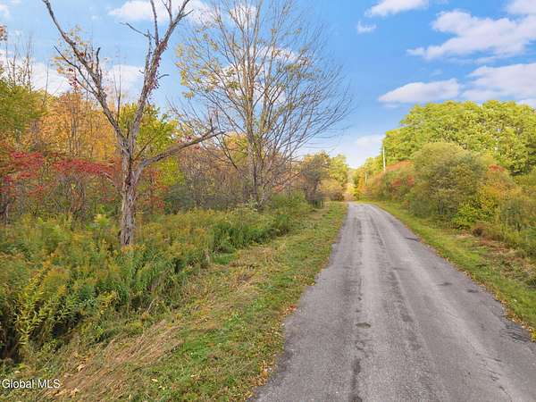 90.9 Acres of Recreational Land for Sale in Seward, New York