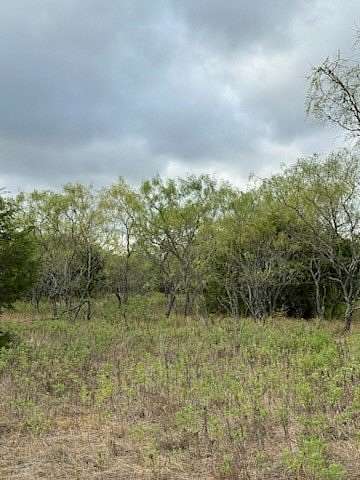 32.1 Acres of Land for Sale in Hico, Texas