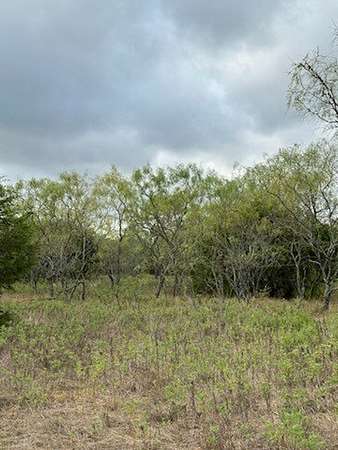 32.1 Acres of Land for Sale in Hico, Texas