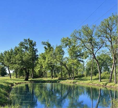 1.62 Acres of Land for Sale in Sulphur Springs, Texas