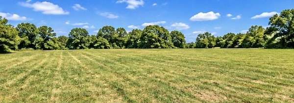 60 Acres of Agricultural & Residential Land for Sale in Monett, Missouri