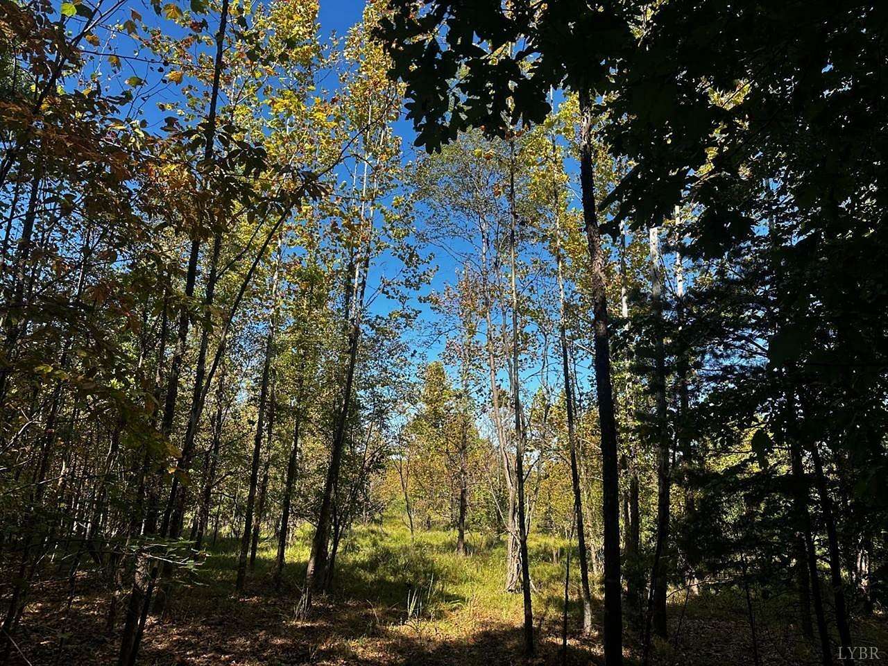 9 Acres of Residential Land for Sale in Amherst, Virginia