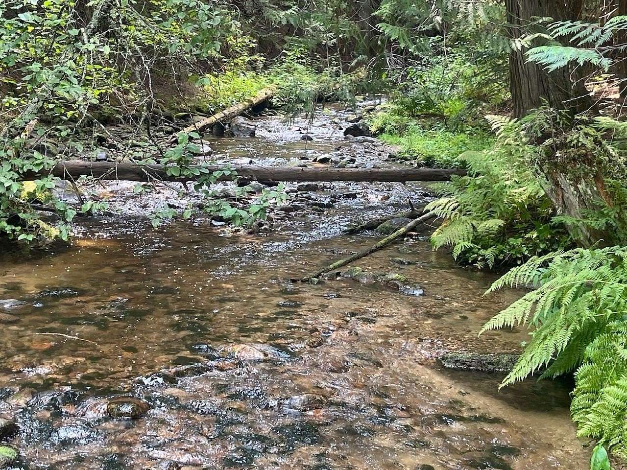 90 Acres of Recreational Land for Sale in Cusick, Washington