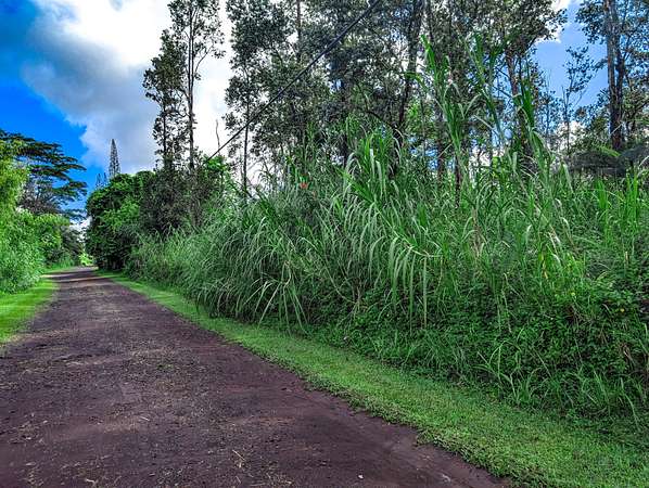 0.18 Acres of Residential Land for Sale in Pahoa, Hawaii