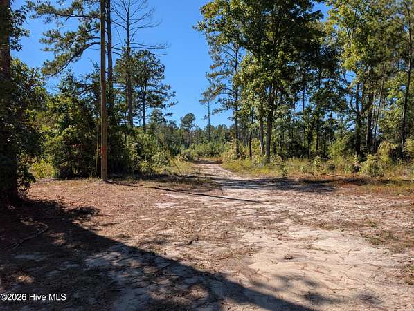 51 Acres of Recreational & Residential Land for Sale in Grovetown, Georgia