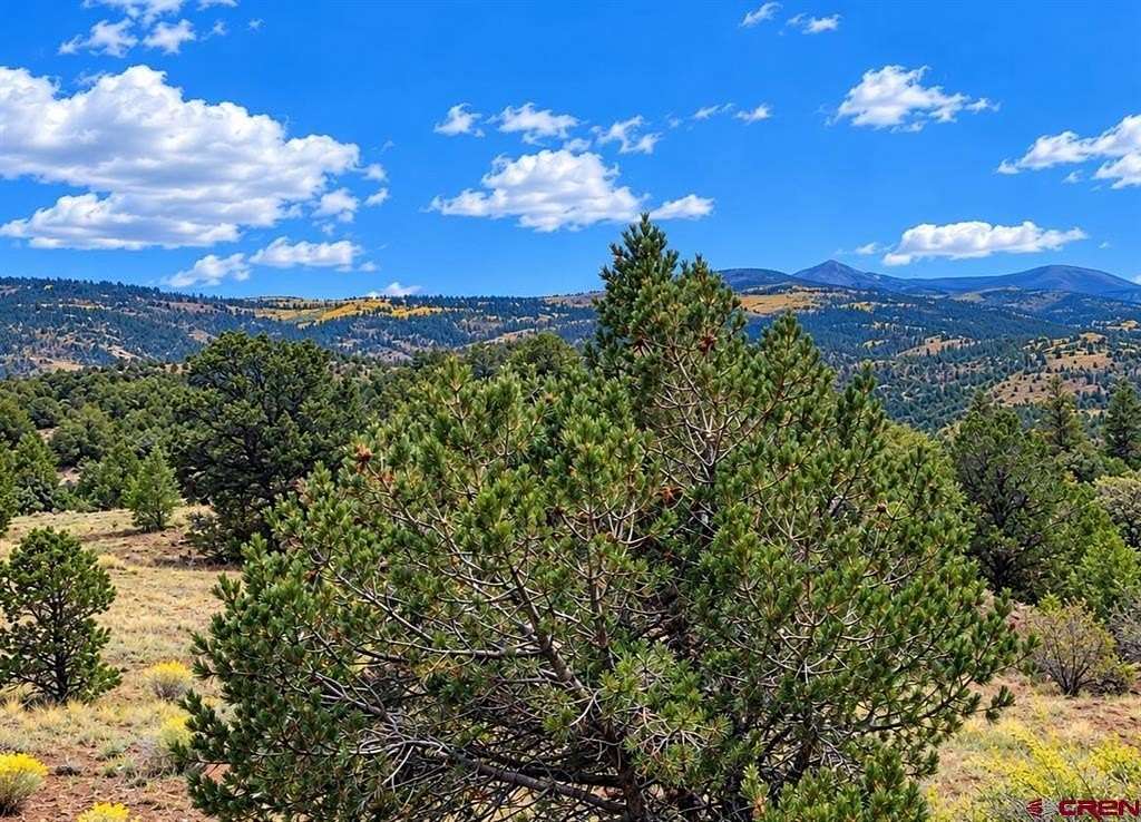 0.55 Acres of Land for Sale in South Fork, Colorado
