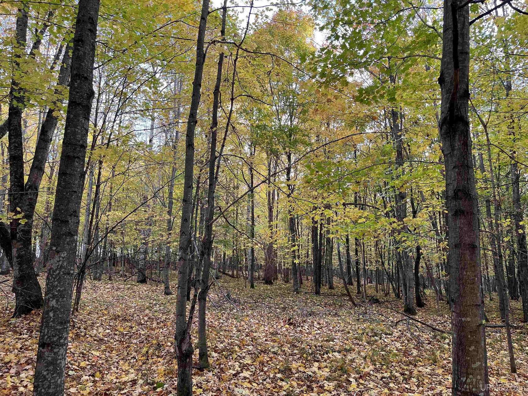 3.7 Acres of Residential Land for Sale in Long Lake, Wisconsin