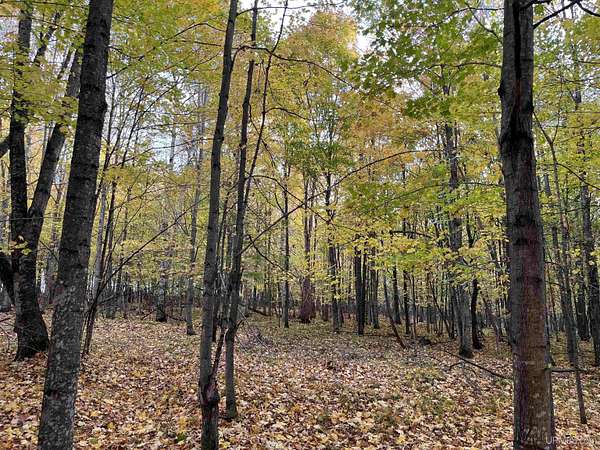 3.7 Acres of Residential Land for Sale in Long Lake, Wisconsin