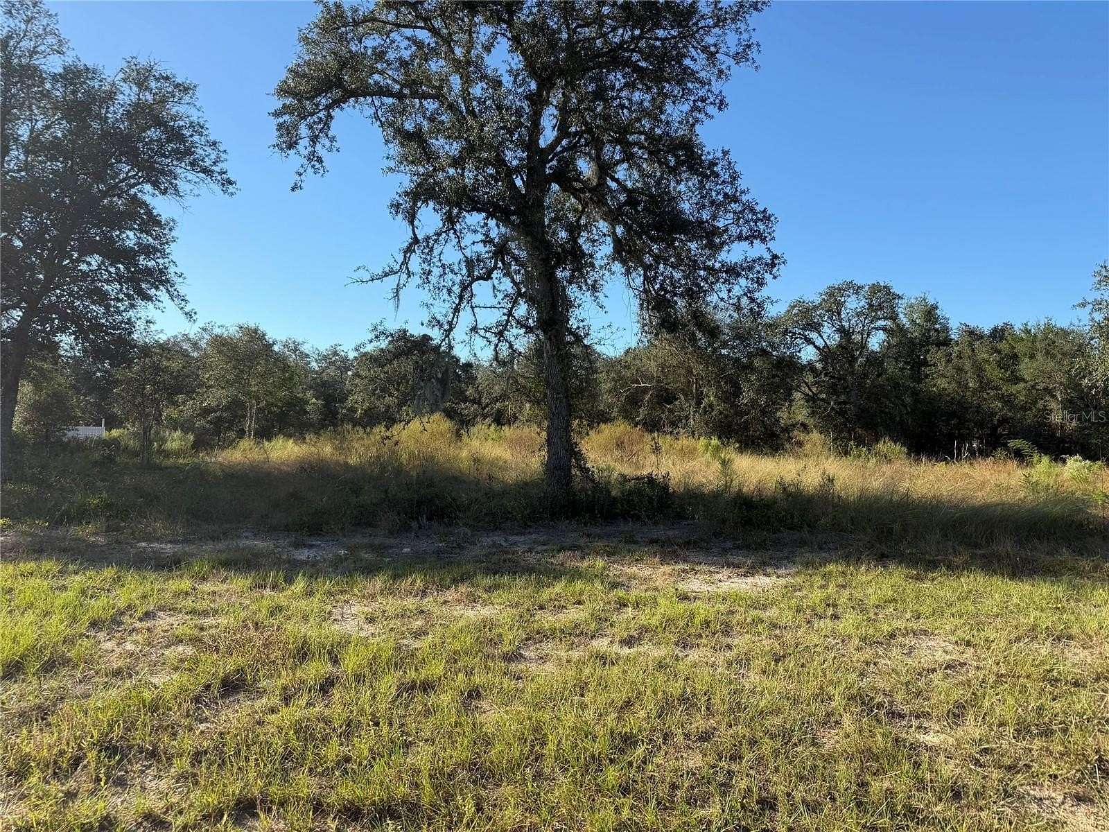 1.36 Acres of Residential Land for Sale in Bronson, Florida