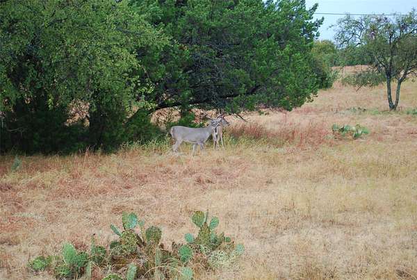 0.22 Acres of Residential Land for Sale in Whitney, Texas