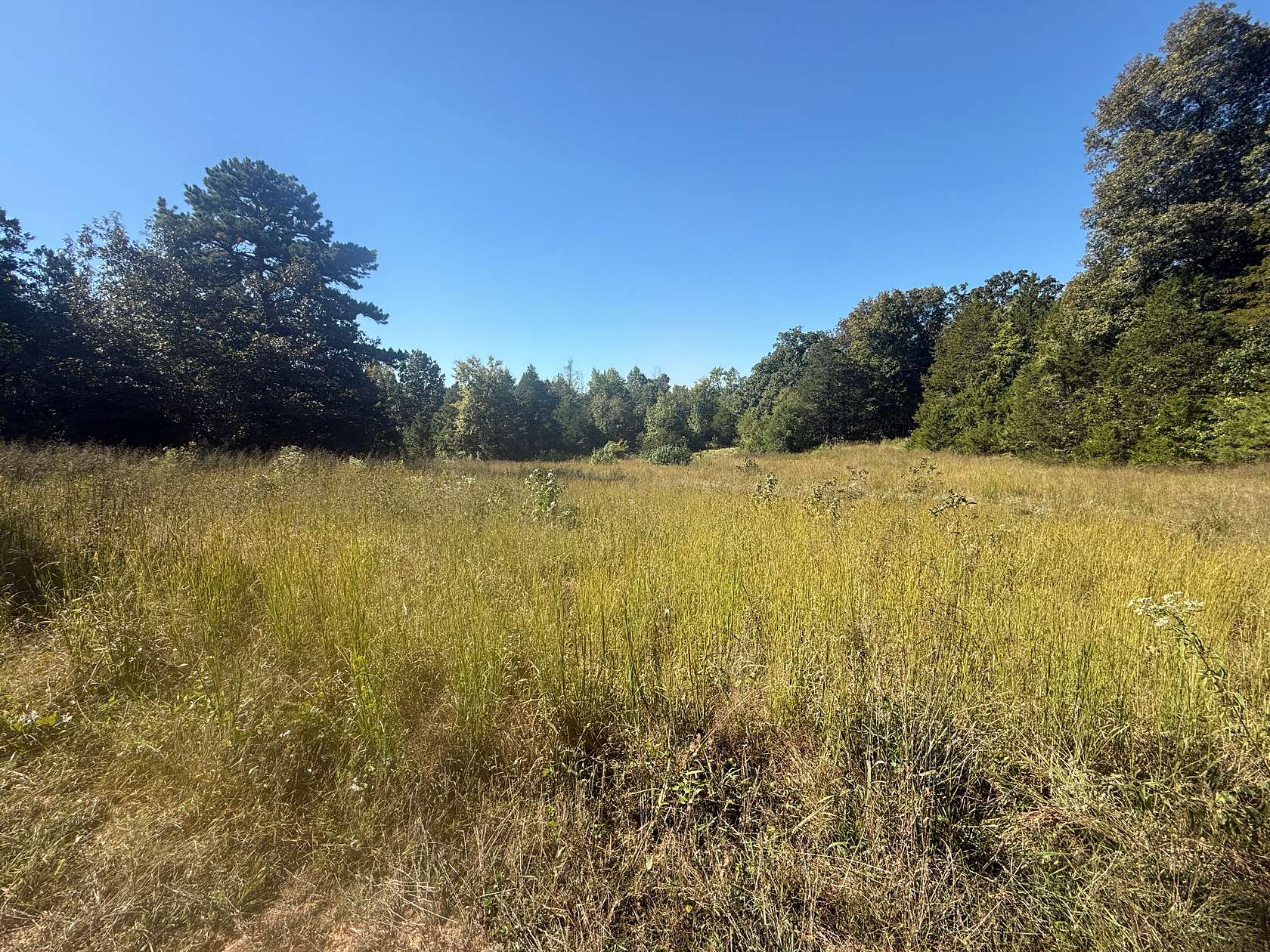 58 Acres of Land for Sale in Calico Rock, Arkansas