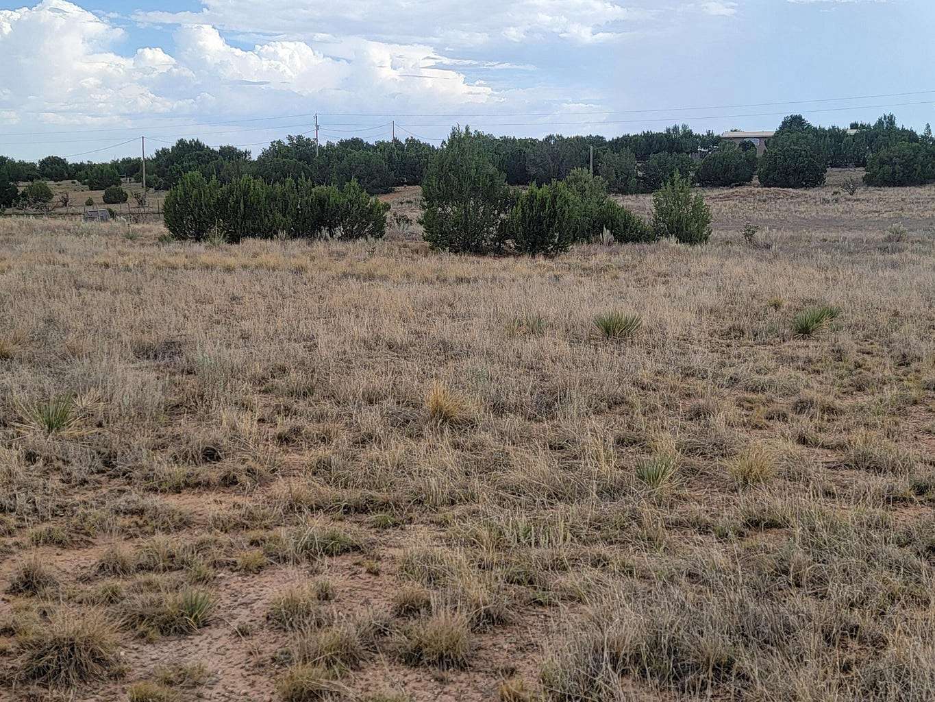 1.5 Acres of Residential Land for Sale in Moriarty, New Mexico