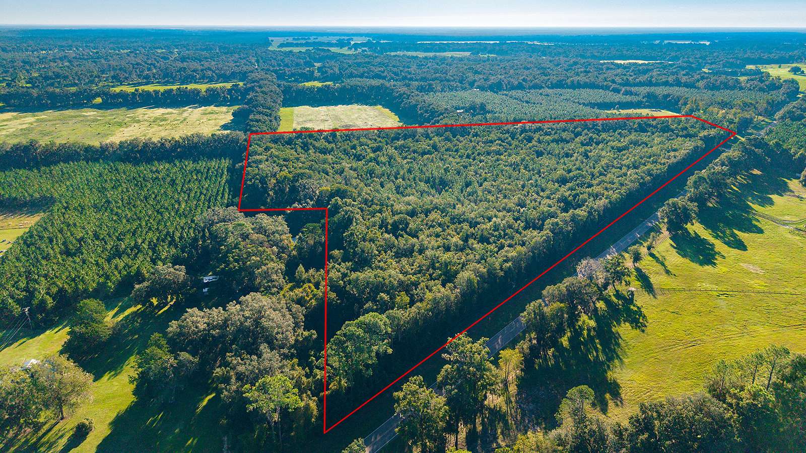 22.8 Acres of Land for Sale in Trenton, Florida