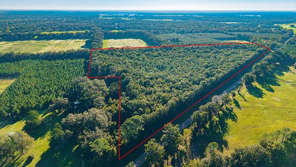 22.8 Acres of Land for Sale in Trenton, Florida