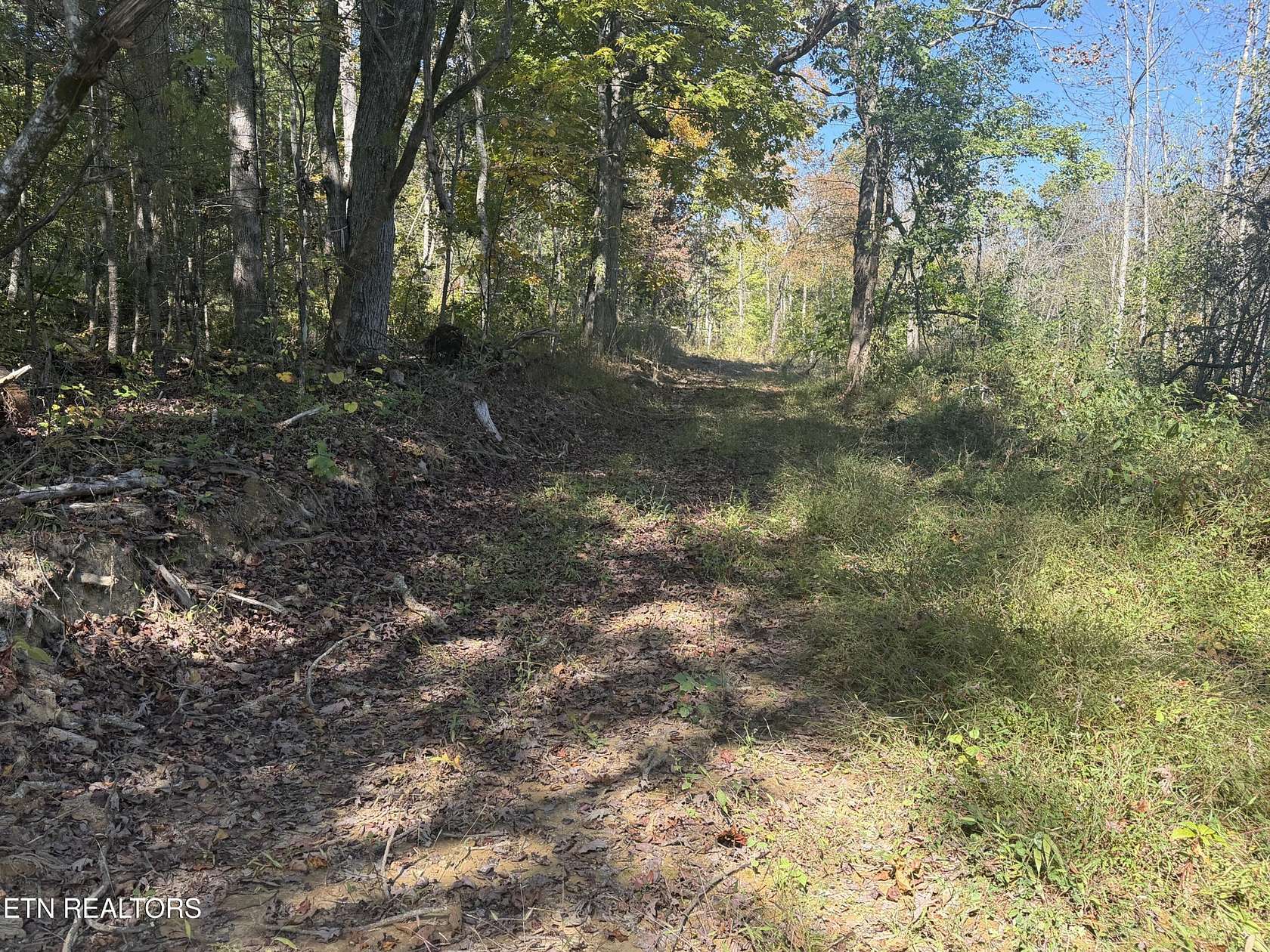 26.8 Acres of Land for Sale in Allardt, Tennessee