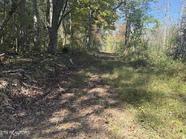 26.8 Acres of Land for Sale in Allardt, Tennessee
