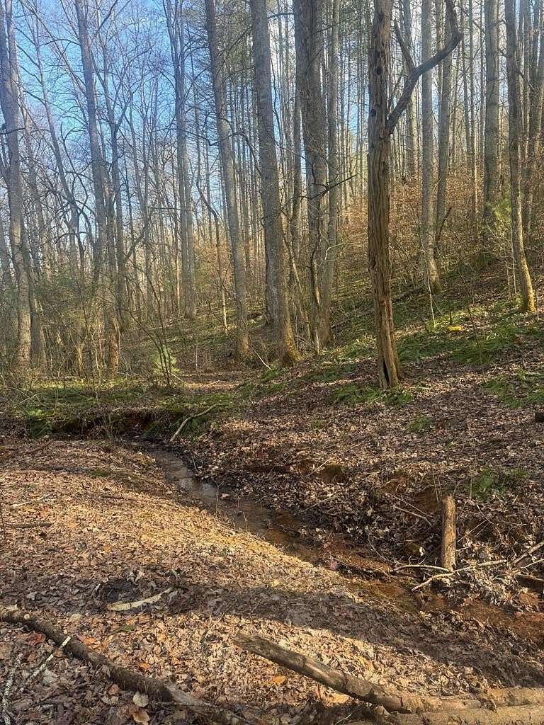 4.5 Acres of Land for Sale in Franklin, North Carolina