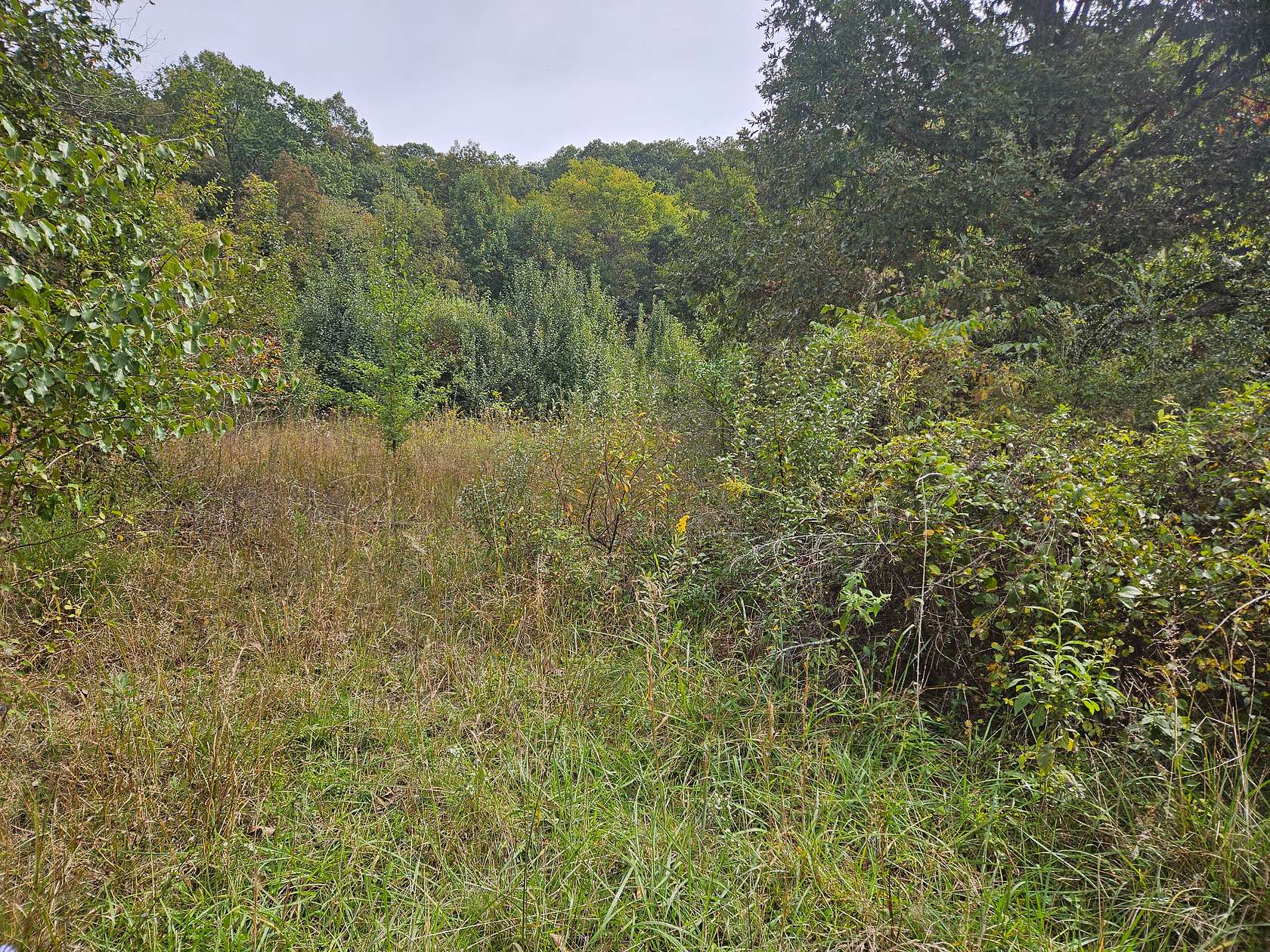 3.38 Acres of Land for Sale in Bristol, Virginia