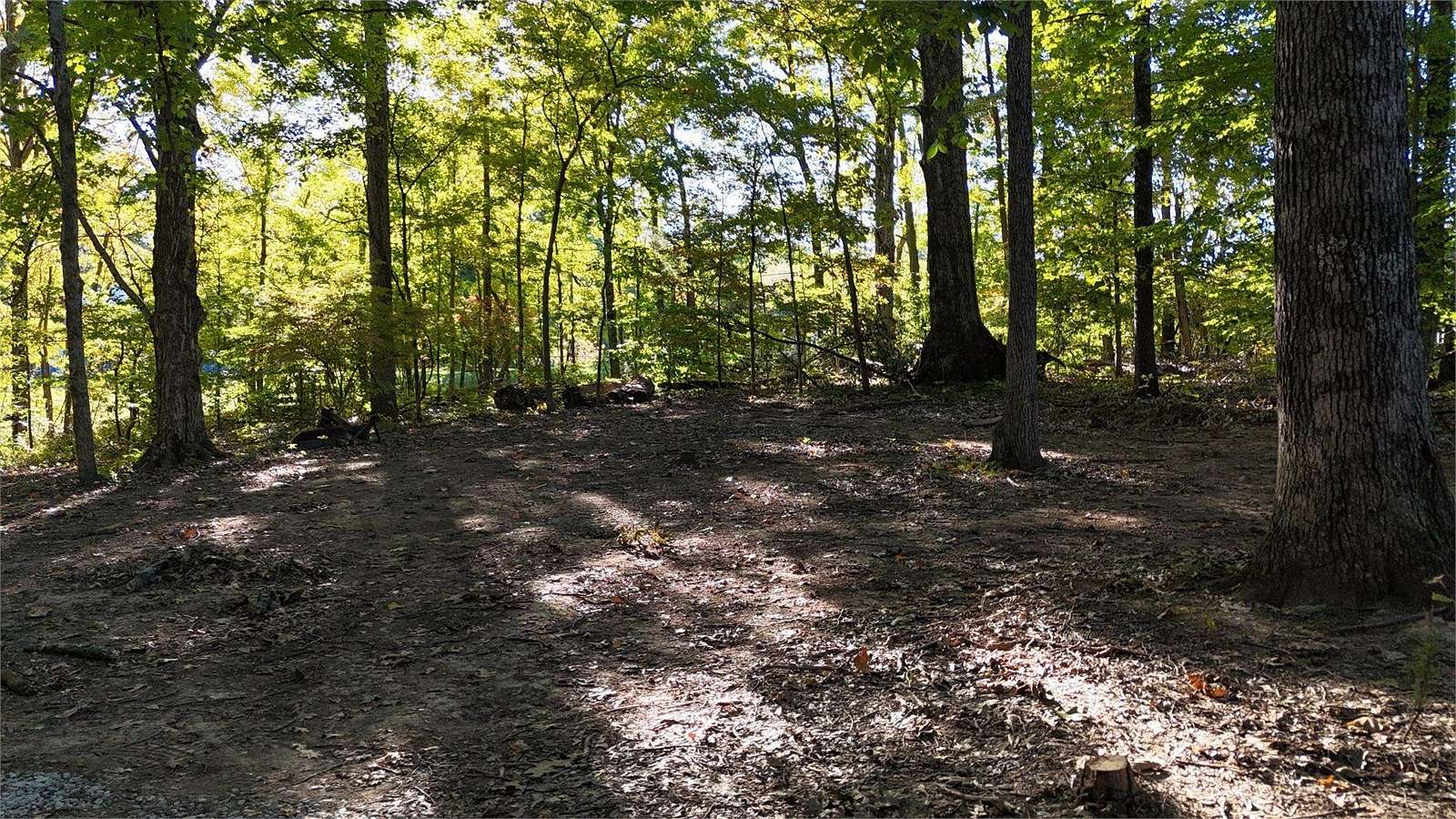2.5 Acres of Residential Land for Auction in Bloomington, Indiana